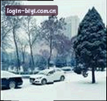 张姐